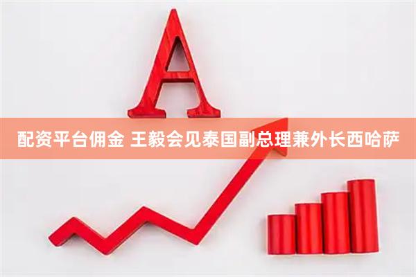 配资平台佣金 王毅会见泰国副总理兼外长西哈萨