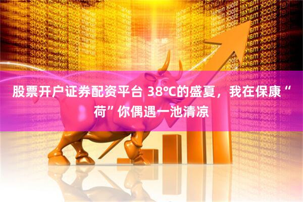 股票开户证券配资平台 38℃的盛夏，我在保康“荷”你偶遇一池清凉